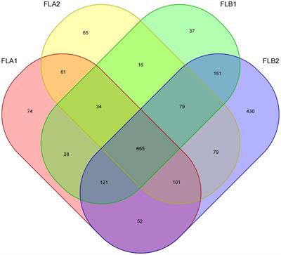 Investigating the relationship between postoperative radiotherapy and intestinal flora in rectal cancer patients: a study on efficacy and radiation enteritis